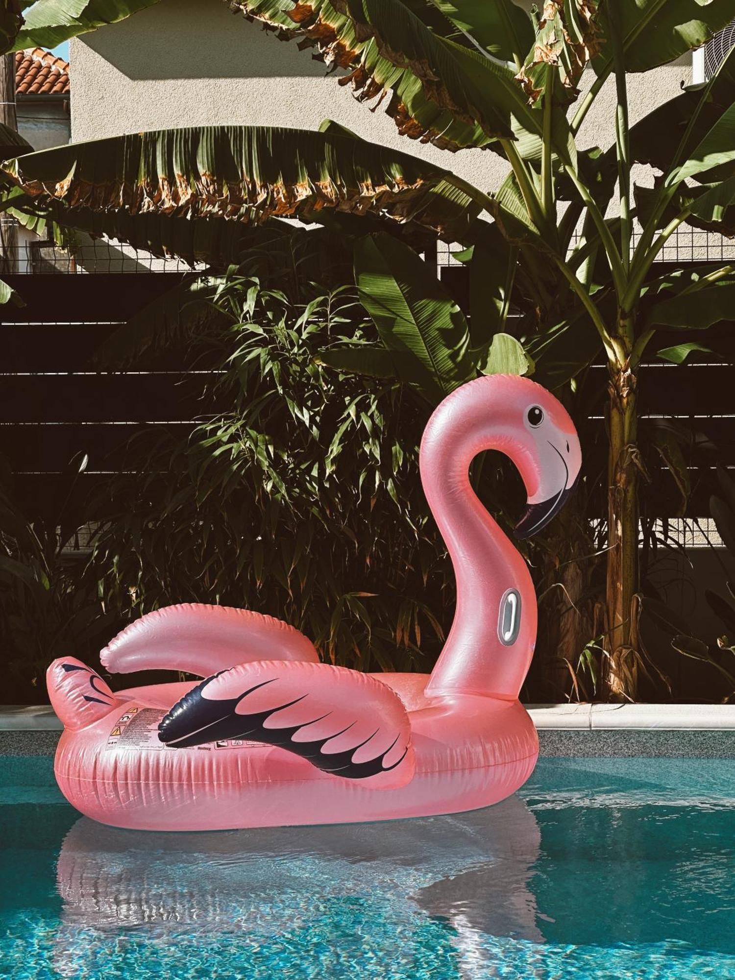 Bernie Apartments With A Pool Zara Esterno foto
